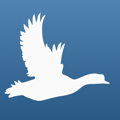 Little Bird Quiz: Aves Europe 2022.1.0 Icon