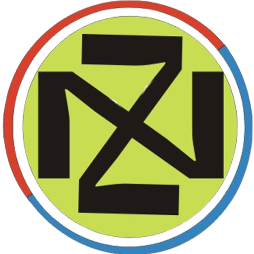Netzone Broadband logo