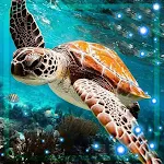 Cover Image of Download Turtles Live Wallpaper  APK