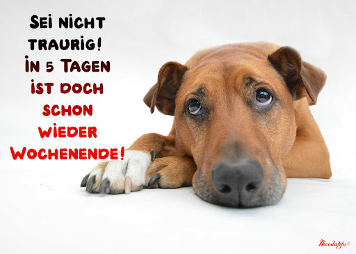 Schöne Woche und Wochenende