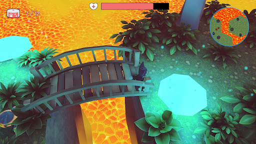 Becker cats Adventures