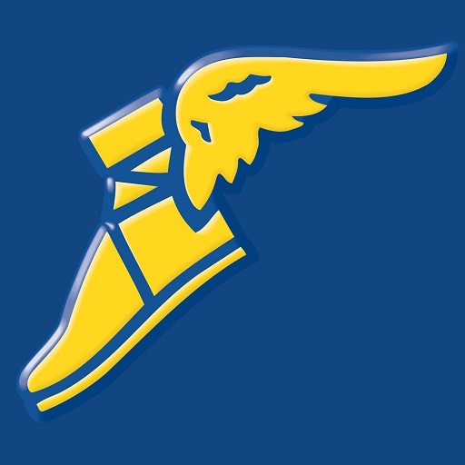 Goodyear Fleet Service logo