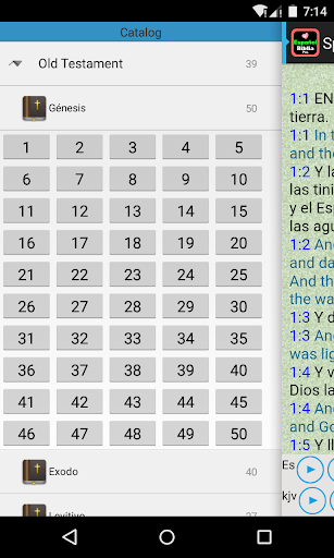 Spanish English Audio Bible screenshot 11