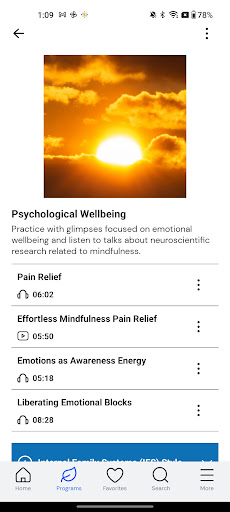 Mindful Glimpses: Meditation Screen 2