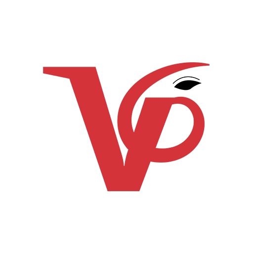 VINAYAKPE logo
