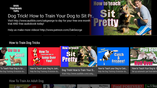 Dog Training Tips