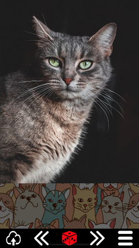 Cat.alogue Screen 2