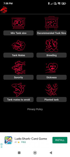 Betta care Screen 2