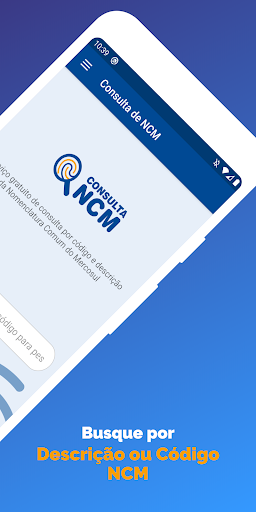 Consulta de NCM gratuita Screen 2
