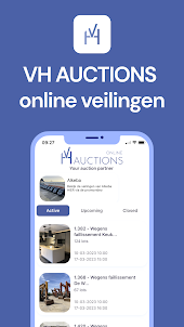 VH Auctions