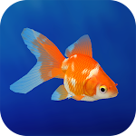 Cover Image of Download Goldfish 3D Relaxing Aquarium  APK