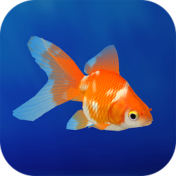 Icon image Goldfish 3D Relaxing Aquarium