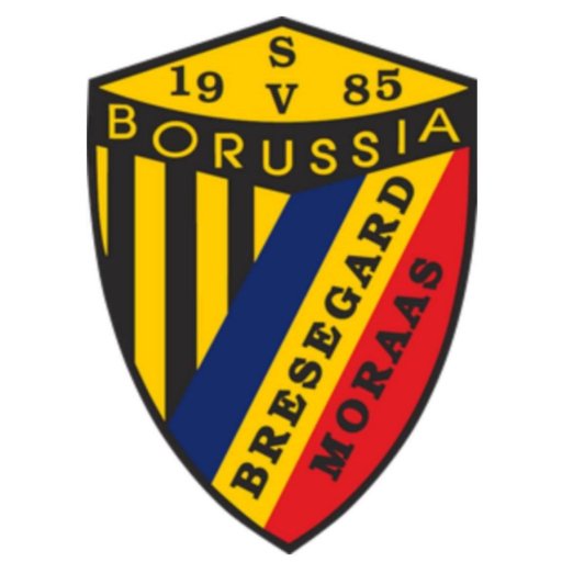 SV Borussia logo