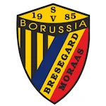 Cover Image of डाउनलोड SV Borussia  APK