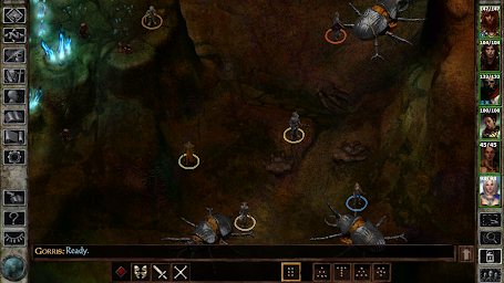 Icewind Dale: Enhanced Edition