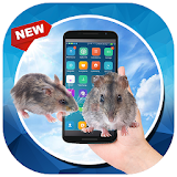 Mouse In Phone Run Prank icon