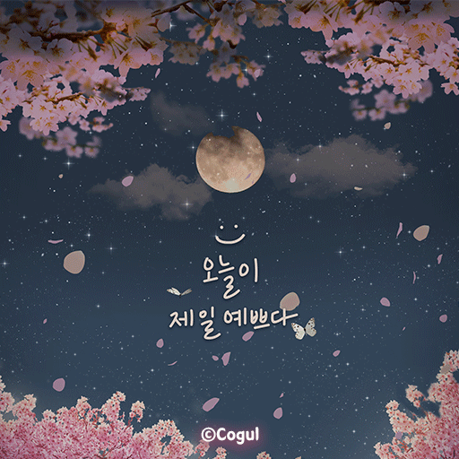 카카오톡 테마 - 오늘이 제일 예쁘다_밤 벚꽃 - Google Play 앱