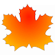 Maple Live Wallpaper Download on Windows