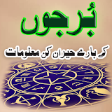 Burjon Ka Advice Pediya Urdu icon