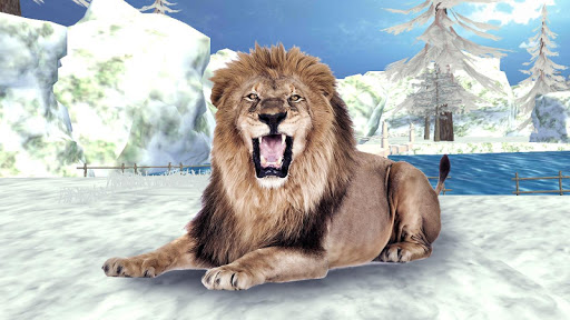 Angry Lion Winter Attack