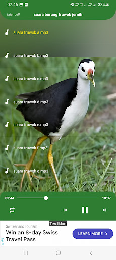 suara burung truwok jernih Screen 3