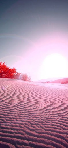 Xiaomi Poco M2 Pro Wallpapers