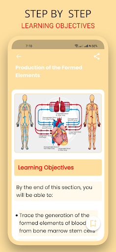 Screenshot of BioVerse: Anatomy & Physiology