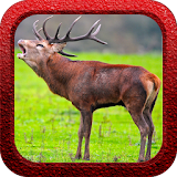Red Deer Hunter icon