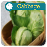 Cabbage recipes icon