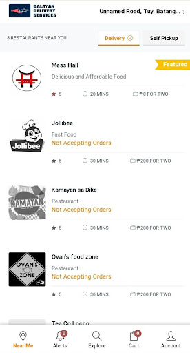 Balayan Delivery Services