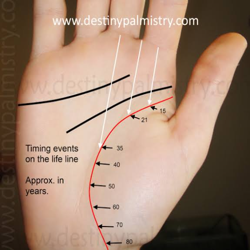 PALMISTRY READINGS Install on Windows