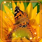 Cover Image of Download Butterfly Live Wallpaper  APK