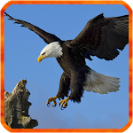 Cover Image of ダウンロード Eagle Live Wallpaper  APK