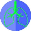pneumonology icon