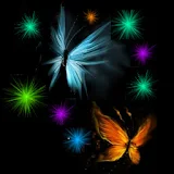 3D Butterfly 8 icon