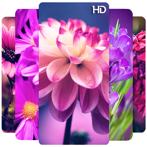 Spring Wallpaper Download on Windows