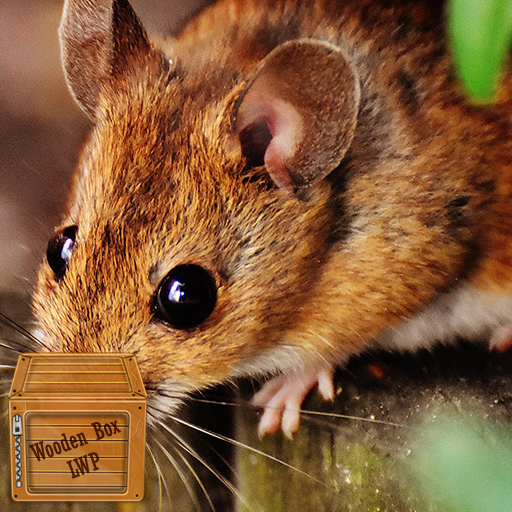 cute mouse wallpaper logo