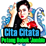 Cita Citata - Potong Bebek Jomblo icon