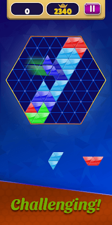 Block Triangle Puzzle!のおすすめ画像3