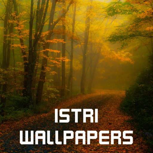Free Istri Wallpaper New 2021 4