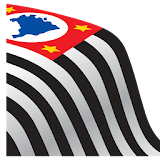 Copa São Paulo de Futebol 2015 icon