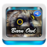 Barn Owl Sound icon