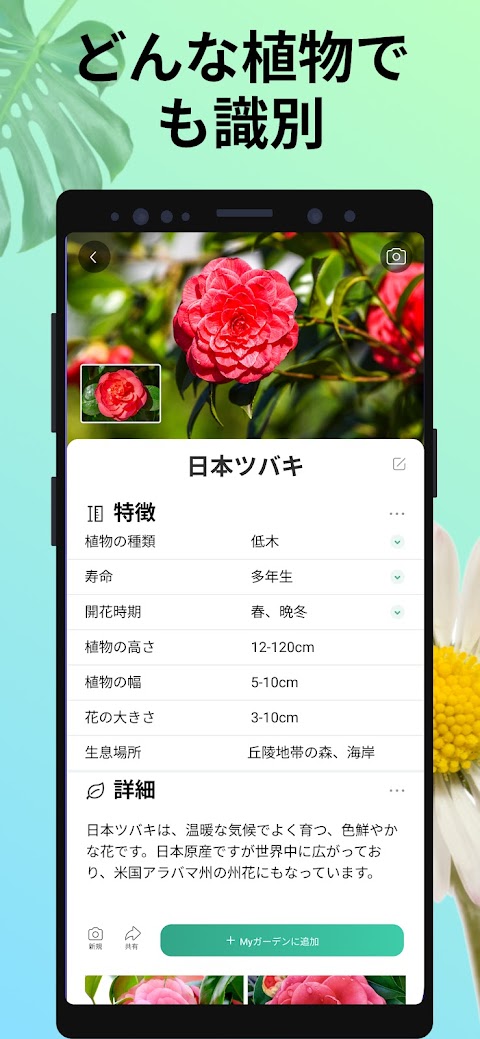 PictureThis：撮ったら、判る-1秒植物図鑑のおすすめ画像2