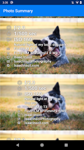 Photo Summary Screen 2