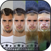 Animal Face Morphing - GIF Maker