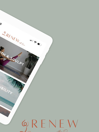 Screenshot of RENEW with Riva