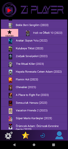 ZiPlayer Screen 3