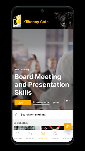 Kilkenny Cats Social