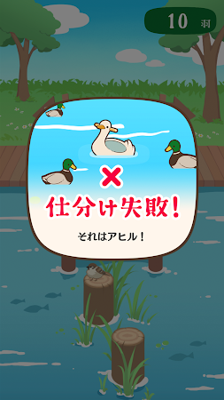 Game screenshot アヒルかも？  Duck or Duck apk download