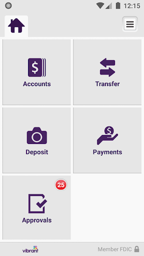 Vibrant Business Screen 3